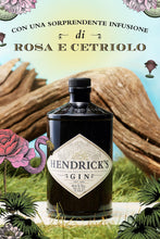 Carica l&#39;immagine nel visualizzatore di Gallery, Hendrick&#39;s Gin, 70cl
