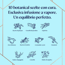 Carica l&#39;immagine nel visualizzatore di Gallery, Bombay Sapphire Premium Distilled London Dry Gin, Vol. 40%, 100cl / 1L, infuso a vapore con 10 botanical esotici selezionati con cura
