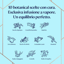 Carica l'immagine nel visualizzatore di Gallery, Bombay Sapphire Premium Distilled London Dry Gin, Vol. 40%, 100cl / 1L, infuso a vapore con 10 botanical esotici selezionati con cura
