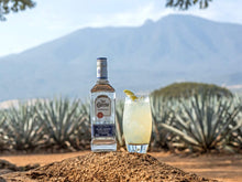 Carica l&#39;immagine nel visualizzatore di Gallery, Jose Cuervo Tequila Bianco, 100cl
