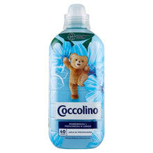 Carica l&#39;immagine nel visualizzatore di Gallery, Coccolino Ammorbidente Concentrato Sandalo e Caprifoglio, Ammorbidente Lavatrice Intense Care con Tecnologia Pro-Fibre, Formato Fino a 336 Lavaggi, 8 Pezzi da 980 ml
