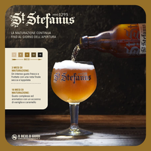 Carica l&#39;immagine nel visualizzatore di Gallery, Birra D&#39;Abbazia, Cassa Birra Con 12 Birre in Bottiglia Da 33 Cl, 3.96 L, Gusto I
