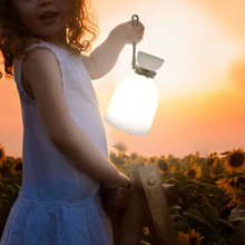 Carica l&#39;immagine nel visualizzatore di Gallery, Lampada Da Tavolo Ricaricabile Con Telecomando,8 Colori Dimmerabile Lampada Da T
