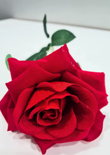 Carica l&#39;immagine nel visualizzatore di Gallery, Idea Regalo - Eau De Parfum Dune 50Ml - Pochette Colore Argento Con Brillantini
