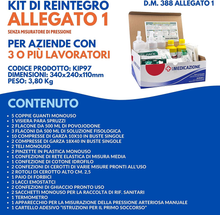 Carica l&#39;immagine nel visualizzatore di Gallery, KIT DI REINTEGRO COMPLETO DI CARTELLO PRIMO SOCCORSO Ricambio per Cassetta Medic
