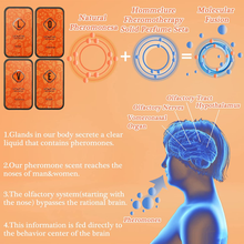 Carica l&#39;immagine nel visualizzatore di Gallery, 2 Set Hommelure Fheromotherapy Solid Perfume Set Di Profumi Solidi per Erooterap

