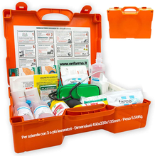 Carica l&#39;immagine nel visualizzatore di Gallery, FARMA4 Cassetta Medica Primo Pronto Soccorso COMPLETA DI MISURATORE DI PRESSIONE
