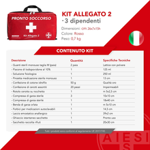 Carica l'immagine nel visualizzatore di Gallery, ® Cassetta Medica Di Pronto Soccorso (Borsa) Con ALLEGATO 2 per Aziende Meno 3 D
