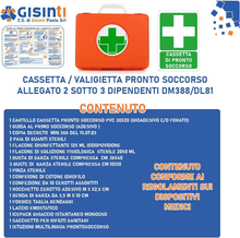Carica l&#39;immagine nel visualizzatore di Gallery, Kit Cassetta Pronto Soccorso All.2 per Aziende Sotto 3 Lavoratori Gruppo C + Car
