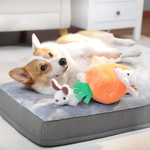 - Giocattolo in Peluche per Cani, Gioco Del Nascondino Con Coniglio E Carota Con