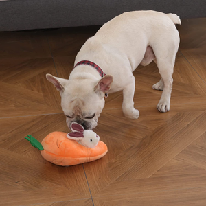- Giocattolo in Peluche per Cani, Gioco Del Nascondino Con Coniglio E Carota Con