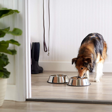 Carica l&#39;immagine nel visualizzatore di Gallery, - Ciotola per Cani in Acciaio INOX - Confezione Da 2
