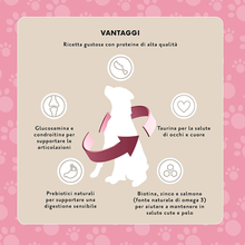 Carica l&#39;immagine nel visualizzatore di Gallery, Marchio Amazon-  Complete - Alimento Secco Completo per Cani Adulti Con Salmone
