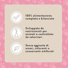 Carica l&#39;immagine nel visualizzatore di Gallery, Marchio Amazon-  Complete - Alimento Secco Completo per Cani Adulti Con Salmone
