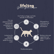 Carica l&#39;immagine nel visualizzatore di Gallery, Marchio Amazon  - Alimento Secco per Gatti Adulti Sterilizzati Con Pollo Fresco,
