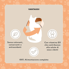 Carica l&#39;immagine nel visualizzatore di Gallery, Marchio Amazon -  Alimento Completo per Gatti Adulti- Selezione Mista in Gelatin
