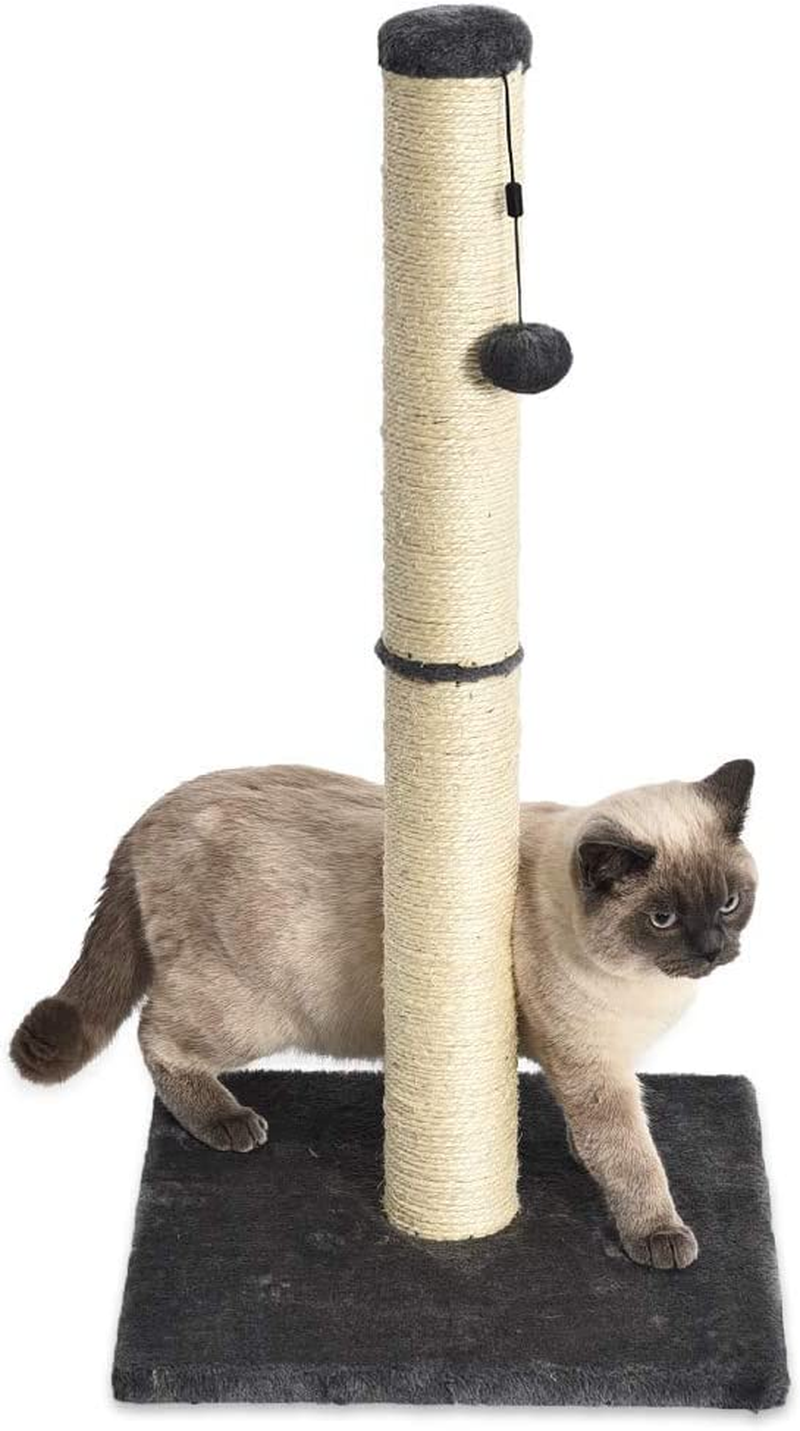 - Palo Tiragraffi per Gatti, Medio, 40,6 X 40,6 X 81,28 Cm, Grigio