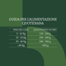 Carica l&#39;immagine nel visualizzatore di Gallery, Marchio Amazon -  - Alimento Secco Completo per Cani Adulti Ricco Di Agnello E R
