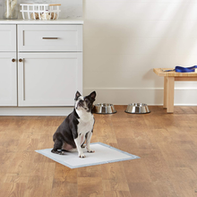 Carica l&#39;immagine nel visualizzatore di Gallery, , Tappetini per L&#39;Addestramento Di Cani E Cuccioli, Design a 5 Strati a Prova Di
