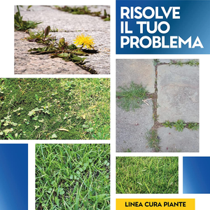 - Diserbante Totale Glifosate Gliphogan Top Erbicida per Diserbo Erbacce Ad Azio