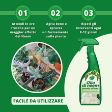 Carica l&#39;immagine nel visualizzatore di Gallery, Olio Di Neem Spray per Piante 750Ml Pronto Uso Azione Naturale Contro Varie Avve
