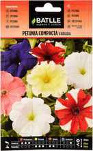Carica l&#39;immagine nel visualizzatore di Gallery, - Petunia Compacta VARIADA, Multicolore
