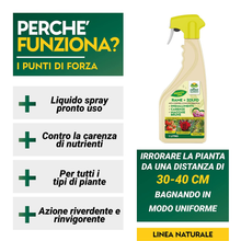 Carica l&#39;immagine nel visualizzatore di Gallery, - Rame + Zolfo Spray 1 Litro - Concime Effetto Fungicida Piante Contro Le Malatt
