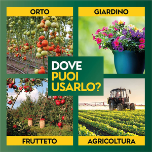 - Rame + Zolfo Spray 1 Litro - Concime Effetto Fungicida Piante Contro Le Malatt