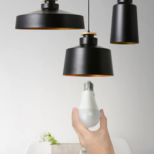 Carica l&#39;immagine nel visualizzatore di Gallery, Ampoule LED E27 Lumière Froide 6400K, 12W Equivalent A 73W, 1020 Lumen Ampoule A
