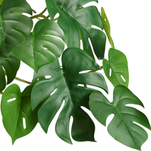 Carica l&#39;immagine nel visualizzatore di Gallery, Pflanze Kunstleder Sternschnuppe 50Cm Monstera Deliciosa Fälschung Von Innen
