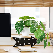 Carica l&#39;immagine nel visualizzatore di Gallery, Pflanze Kunstleder Sternschnuppe 50Cm Monstera Deliciosa Fälschung Von Innen
