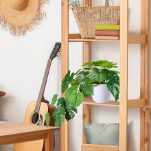 Carica l&#39;immagine nel visualizzatore di Gallery, Pflanze Kunstleder Sternschnuppe 50Cm Monstera Deliciosa Fälschung Von Innen
