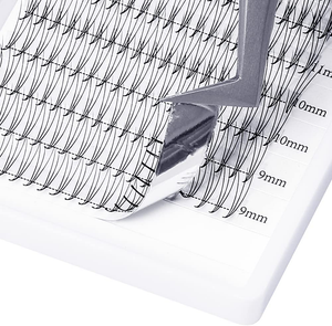 0.07Mm Extension Cils 3D Cils, Courbe D 8-14 MM Mélanger Russian Touffes