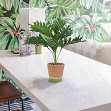 Carica l&#39;immagine nel visualizzatore di Gallery, Plantes Artificielles IN Pot Palmier Fausse De Interne Pianteartificiali C
