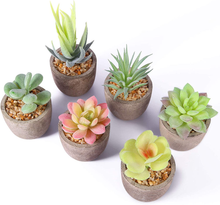 Carica l&#39;immagine nel visualizzatore di Gallery, Pflanze Kunstleder, 6 Stücke Fälschung Kunstpflanze Sukkulenten IN Topf A
