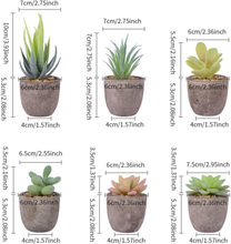 Carica l&#39;immagine nel visualizzatore di Gallery, Pflanze Kunstleder, 6 Stücke Fälschung Kunstpflanze Sukkulenten IN Topf A
