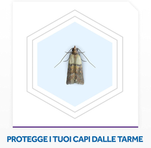 Carica l&#39;immagine nel visualizzatore di Gallery, Mottenvernichtendes Mittel Gel für Schränke, Packung 6 Stück Ein Duft, Lavendel,
