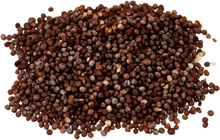 Carica l&#39;immagine nel visualizzatore di Gallery, Pétunia Compacta Variada, Multicolore
