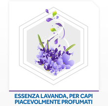 Carica l&#39;immagine nel visualizzatore di Gallery, Anti-mites Gel pour Armoires, Lot De 6 Pièces Au Parfum De Lavande, Protège
