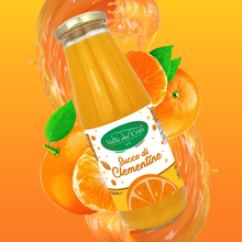 Carica l&#39;immagine nel visualizzatore di Gallery, Saft, Clementine, 100% Pur Ungezuckert, Und ohne Farbstoffe Und Lief
