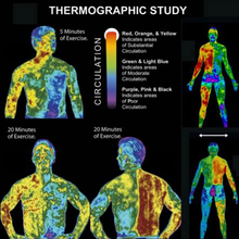 Carica l&#39;immagine nel visualizzatore di Gallery, Slim Crème Abdominale Homme Thermogénique Amincissante Ventre Et Hanches Brûle G
