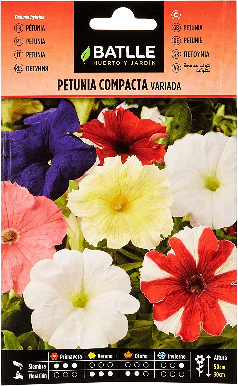 Petunia Compacta Variada, Mehrfarbig