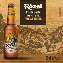 Carica l&#39;immagine nel visualizzatore di Gallery, Premium Bière Lager ,Boîtier Avec 24 Bières En Bouteille De 33 CL , Pale

