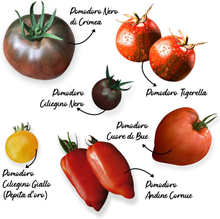 Carica l&#39;immagine nel visualizzatore di Gallery, Kit Samen Gemüsegarten: 6 Von Tomaten Extravagant Und Alte [Anleitung IN Italy
