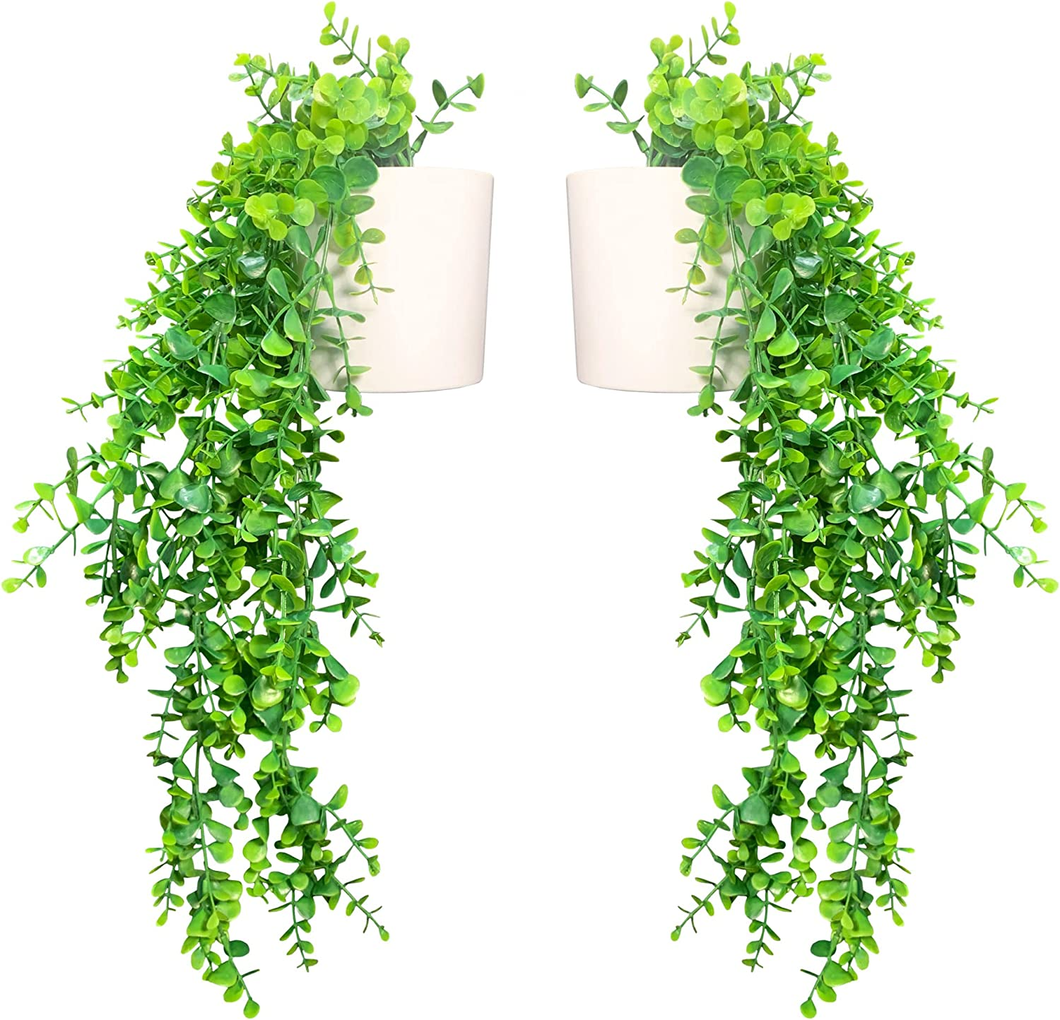 Ensemble De 2 Plantes Tombantes Artificielles Suspendues Avec Pots Bianchi