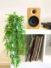 Carica l&#39;immagine nel visualizzatore di Gallery, Ensemble De 2 Plantes Tombantes Artificielles Suspendues Avec Pots Bianchi
