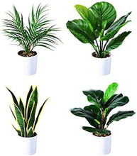Carica l&#39;immagine nel visualizzatore di Gallery, Artificial Plants 40cm Monstera / Snake Plant / Areca Palm
