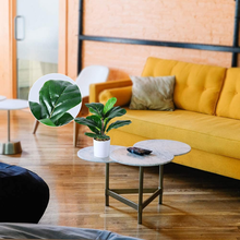 Carica l&#39;immagine nel visualizzatore di Gallery, Artificial Plants 40cm Monstera / Snake Plant / Areca Palm
