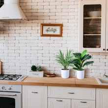 Carica l&#39;immagine nel visualizzatore di Gallery, Artificial Plants 40cm Monstera / Snake Plant / Areca Palm
