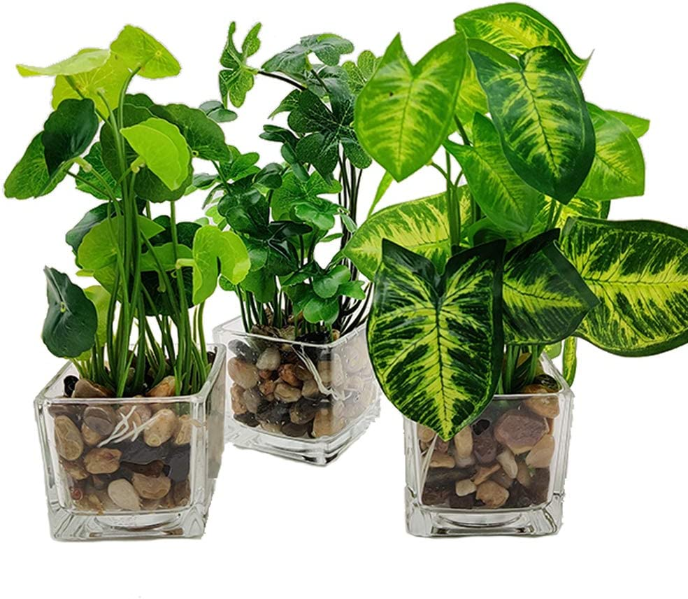 Satz Von 3 Kunstpflanze Faux aus Tabelle Grün Mit Vasen Im Glas Transparent P